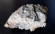 Delcampe - SIDERITE  / SIDEROSE -  Isére - 9 X 5 X 3 Cm - Mineralien