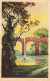 FLEURS, PLANTES & ARBRES - Arbres - Un Arbre Près D'un Petit Lac - Carte Postale Ancienne - Arbres