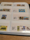 Guernsey, Alderney, Jersey, Man In 3 SAFE Display Albums - Collections (en Albums)