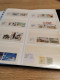 Delcampe - Guernsey, Alderney, Jersey, Man In 3 SAFE Display Albums - Sammlungen (im Alben)