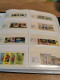 Delcampe - Guernsey, Alderney, Jersey, Man In 3 SAFE Display Albums - Sammlungen (im Alben)