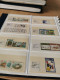 Delcampe - Guernsey, Alderney, Jersey, Man In 3 SAFE Display Albums - Sammlungen (im Alben)