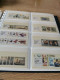 Delcampe - Guernsey, Alderney, Jersey, Man In 3 SAFE Display Albums - Sammlungen (im Alben)