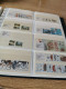 Delcampe - Guernsey, Alderney, Jersey, Man In 3 SAFE Display Albums - Sammlungen (im Alben)