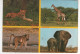 Timbres , Stamps " Fleurs : Maïs , Aloe , Sorgho ; Drapeau National ( Abimé ) " Sur CP , Carte , Postcard Du 24/03/76 - Lesotho (1966-...)