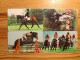 Phonecard Set Jersey 78JERA-D Horse Riding - [ 7] Jersey Y Guernsey