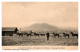 Camp De Corcieux - 62° Régiment D'Artillerie - Dressage Des Bleus - Corcieux