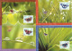 1999 - BUTTERFLIES - COMMON ISSUE SINGAPORE - SWEDEN - Cartes-maximum (CM)