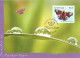 1999 - BUTTERFLIES - COMMON ISSUE SINGAPORE - SWEDEN - Maximumkaarten (CM)