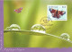 1999 - BUTTERFLIES - COMMON ISSUE SINGAPORE - SWEDEN - Maximum Cards & Covers