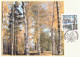2000 - FORESTS - Maximumkaarten (CM)