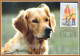 2001 - DOGS - Maximum Cards & Covers
