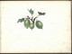 Carnet  De Dessins Originaux - Par Alfred Lambert De Chalons Sur Marne Vers 1895 - Fruit - Reims - Amiens - Gisors-tri - Dessins