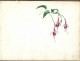 Delcampe - Carnet  De Dessins Originaux - Par Alfred Lambert De Chalons Sur Marne Vers 1895 - Fruit - Reims - Amiens - Gisors-tri - Dessins