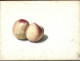 Delcampe - Carnet  De Dessins Originaux - Par Alfred Lambert De Chalons Sur Marne Vers 1895 - Fruit - Reims - Amiens - Gisors-tri - Tekeningen