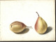 Delcampe - Carnet  De Dessins Originaux - Par Alfred Lambert De Chalons Sur Marne Vers 1895 - Fruit - Reims - Amiens - Gisors-tri - Zeichnungen