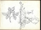 Delcampe - Carnet  De Dessins Originaux - Par Alfred Lambert De Chalons Sur Marne Vers 1895 - Fruit - Reims - Amiens - Gisors-tri - Drawings