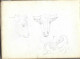 Delcampe - Carnet  De Dessins Originaux - Par Alfred Lambert De Chalons Sur Marne Vers 1895 - Fruit - Reims - Amiens - Gisors-tri - Tekeningen