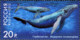 Russia 2012 MiNr. 1788 - 1789  Russland Marine Mammals  Whales 2 V  MNH** 4,20 € - Wale