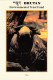 Delcampe - BHUTAN Post 1993 Set Of 17 Environmental Trust Fund Postcards, Unused In Cover Bhoutan Fauna Flora P&T Issue - Butan