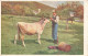 ANIMAUX & FAUNES - Vaches - Un Homme Et Une Vache - Landlichre Idylle - Karl Feiertag Pinx - Carte Postale Ancienne - Cows