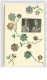Collage De Timbre - Fleurs - Photo Royauté Belge - Briefmarken (Abbildungen)