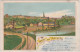 Ansichtskarte Leisnig Panorama (Künstlerkarte) 1905 - Leisnig