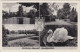 Ansichtskarte Castrop-Rauxel Mehrbild- Stadtgarten 1956  - Castrop-Rauxel