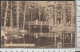 HERFORD Waldfrieden Fischteich - Gelaufen 1909 ( AK 4871 )  Günstige Versandkosten - Herford