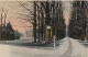 2389150Oosterbeek, Zonnenberg In De Sneeuw 1908 - Oosterbeek