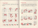 49 -  PETIT FASCICULE  PREMIERS POINT DE BRODERIE PAR D.M.C. . 16 PAGES  . 15 CM SUR 11 CM  . SCANNE ETG TOTALITE - Otros & Sin Clasificación