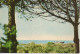 Isola Di Albarella, Marina Con Barche - Viag. 1971 - Rovigo