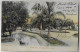 Brazil Bahia 1904 Postcard Photo Duke Of Caxias Park Salvador Editor J.Mello No.18 Sent To Lisbon Portugal Stamp 50 Réis - Salvador De Bahia