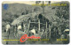 Antigua & Barbuda - Arrowroot Production In Antigua '1905' - 54CATA - Antigua U. Barbuda