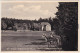 Ansichtskarte Rechenberg Bienenmühle Rehe Vor Richters Gasthof 1931 - Holzhau