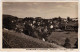 Fotokarte Reinhardtsdorf Schöna Panorama Mit Zirkelstein 1934 - Schoena
