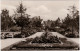Ansichtskarte Bad Düben Kurpark Mit Blumenbeeten 1964 - Bad Düben