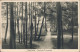 Binz (Rügen) Sellin  Hochufer-Promenade Ansichtskarte 1918 - Sellin