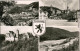 Ansichtskarte Leutenberg Panorama, Markt, Kirche, Schloss, Schwimmbad 1959 - Leutenberg