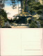Ansichtskarte Elsterwerda Wikow Partie Am Pilz Im Stadtpark 1909 Coloriert - Elsterwerda