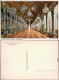 Ansichtskarte Chiemsee Herreninsel Mit Königsschloss - Spiegelgalerie 1930 - Chiemgauer Alpen