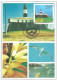 Brazil 1995 OFFICIAL MAXIMUM CARD MAX-201 - Cartoline Maximum