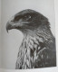 Allemagne Tiere In Schonen Bildern Karl Robert Leipzig 129 Pages Animaux Oiseaux - Fotografia