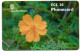 Antigua & Barbuda - Orange Cosmos (Red Chip) - Antigua U. Barbuda