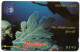 Barbados - Underwater World - 3CBDC - Barbades