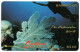 Barbados - Underwater World - 9CBDC - Barbados (Barbuda)