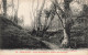 FRANCE - Garolles - Sous Bois Dans La Vallée Des Peintres - Vue De La Nature - Carte Postale Ancienne - Saint Lo