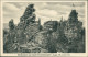 Ansichtskarte Ehrenfriedersdorf Greifensteine Xx 1914 - Ehrenfriedersdorf
