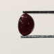 Delcampe - Rubis Traité Chauffe (résidus) 1,39 Carat Du Tanzanie  | 6,3 X 3,4 Mm  | Cabochon Rond - Ruby