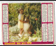 Almanach  Calendrier P.T.T  - La Poste -1978 -  Oiseau -  Chien Et Jeune Fille - Small : 1971-80